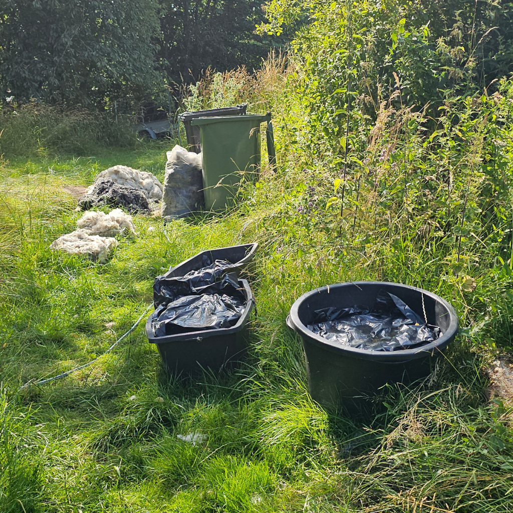 Fermentering upcycled uld fra Møn